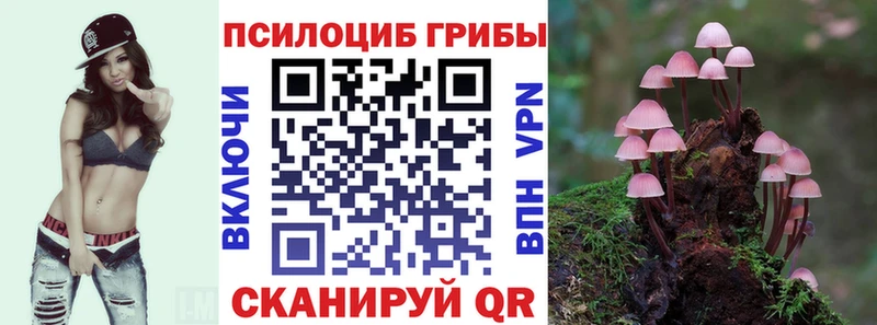 Галлюциногенные грибы Psilocybe  Новая Ляля 